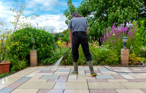 Professional Pressure Washing Services in Willow Springs, IL