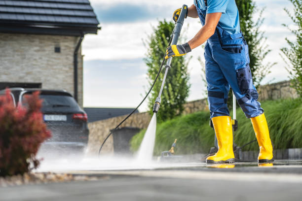 Best House Exterior Washing  in Wlow Springs, IL